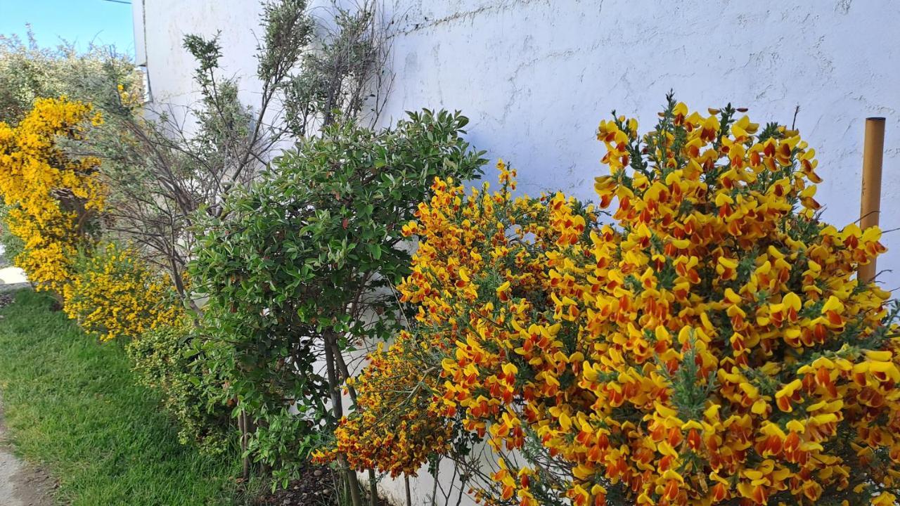 La Casa De Las Retamas Rio Grande Exterior photo